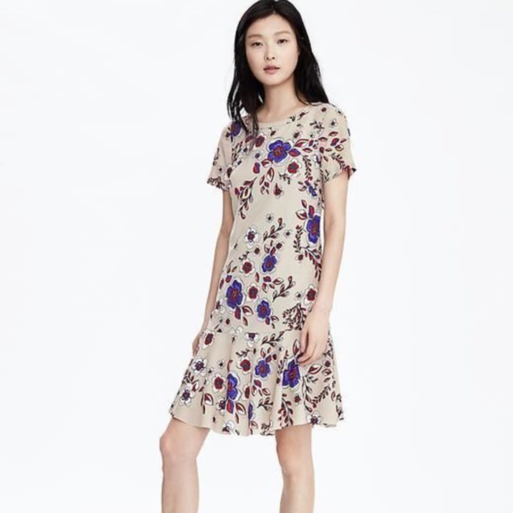 Banana Republic Floral Drop Waist Dress, Size 4